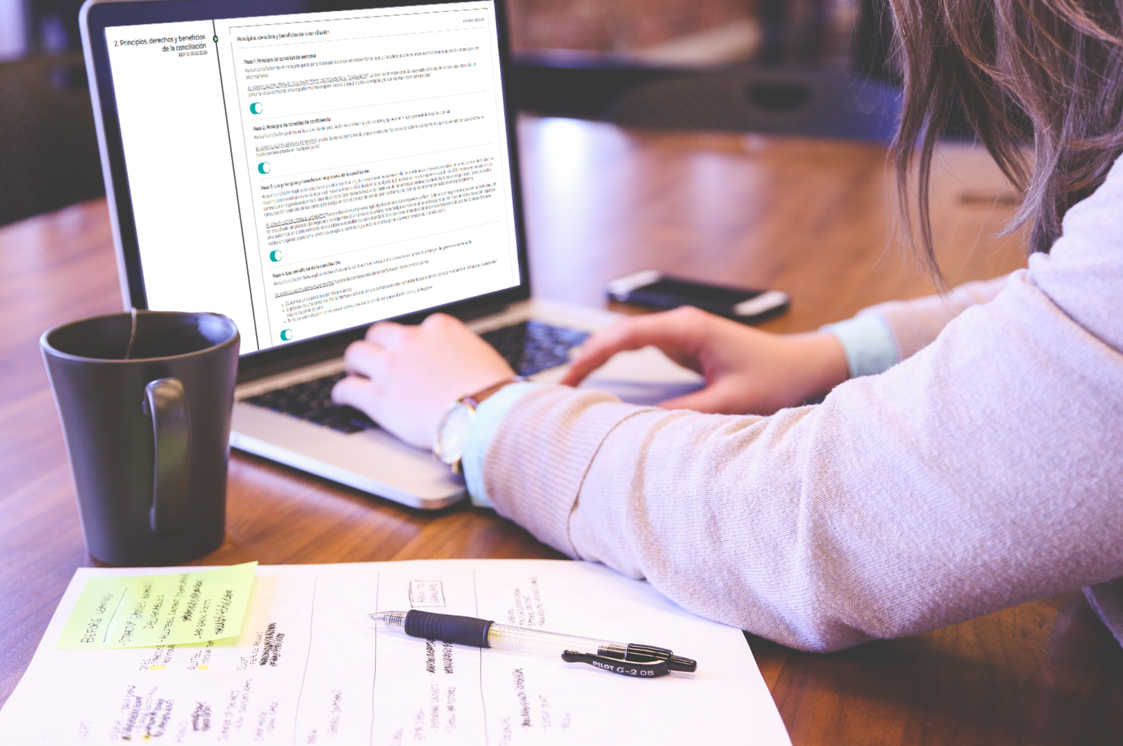 Aprendiendo a usar SINACOL para conciliadores SINACOL_CONCILIADORES_101